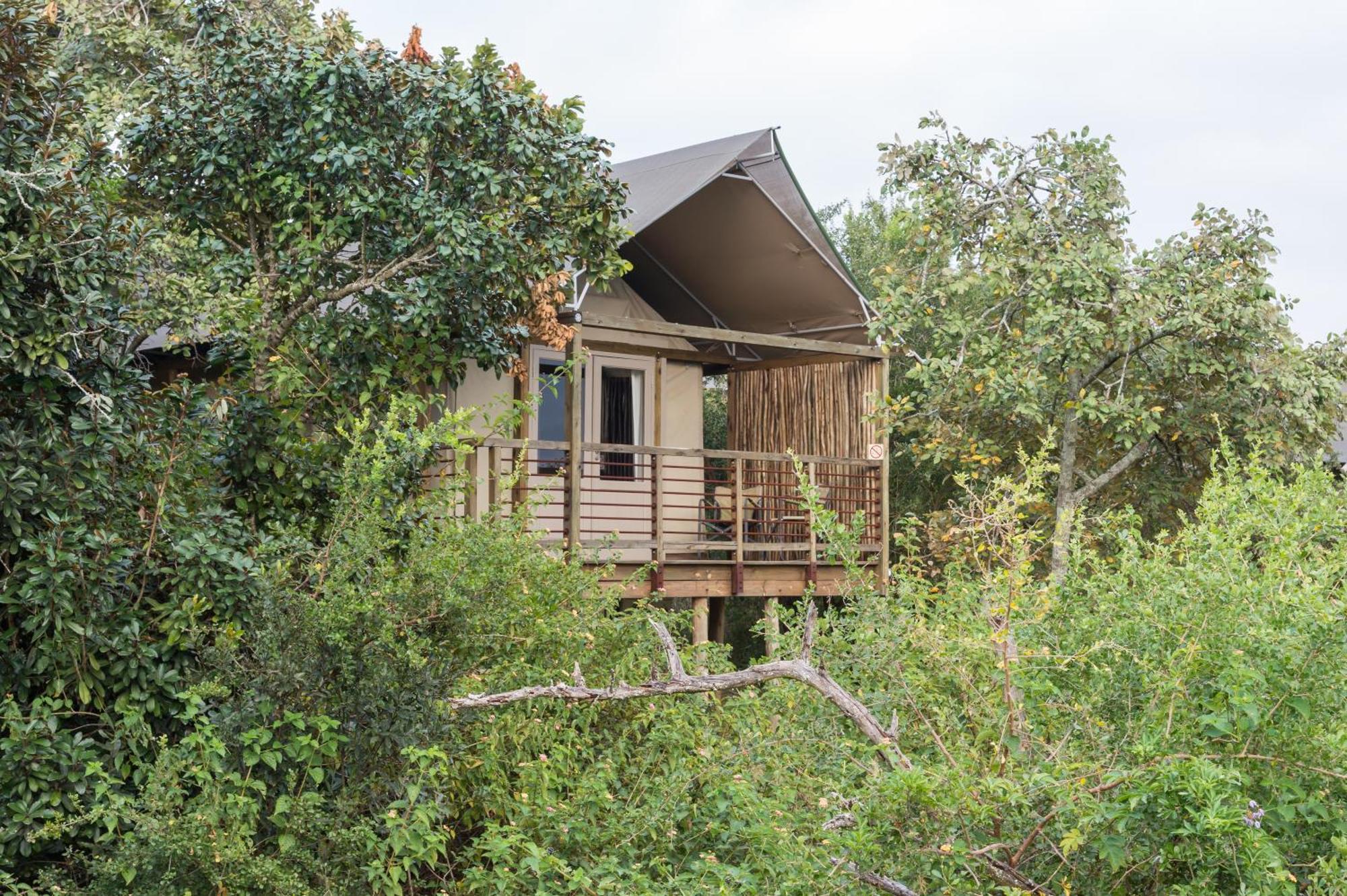 Ndhula Luxury Tented Lodge 화이트 리버 외부 사진