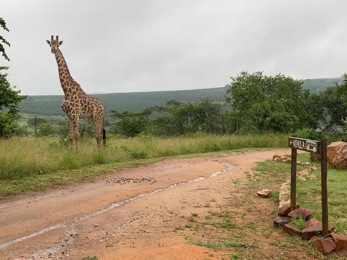 Ndhula Luxury Tented Lodge 화이트 리버 외부 사진